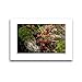 Produktbild CALVENDO Premium Textil-Leinwand 45 x 30 cm Quer-Format Emotionale Momente: Glanzlichter des Jahres, Leinwanddruck von Ingo Gerlach