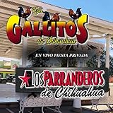 Los Gallitos De Chihuahua
