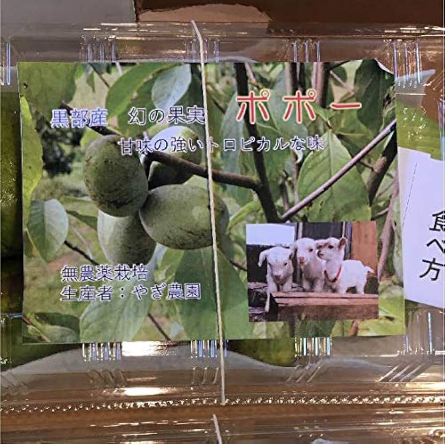 Amazon.co.jp: 冷凍保存 ポポー 幻の果実 500g 1パック - マンゴー科の