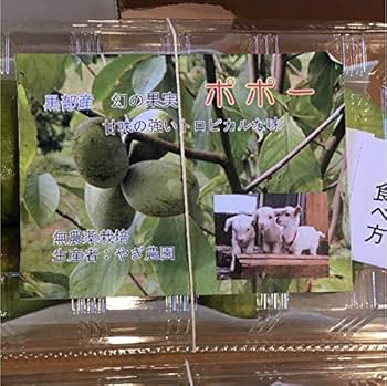 幻のポポー　冷凍 5KG 真空パックにて配送します。小分けも対応 楽天市場】ポポー 幻の果実 400g前後 冷凍 国産 果物 愛媛県 ぽ