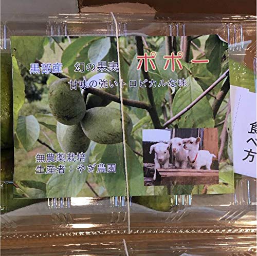 Amazon.co.jp: 冷凍保存 ポポー 幻の果実 500g 1パック - マンゴー科の