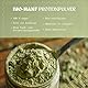NaturaleBio Hanfproteinpulver Bio 500g. Veganes Proteinpulver. Glutenfrei, ohne Zucker, Keto und Vegan Protein. Hergestellt aus zertifizierten biologischen Hanfsamen. Bio Hanfprotein.