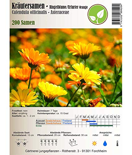 Semillas de hierbas - Marigold/Erfurt Naranja - Caléndula officinalis - Asteraceae 200 semillas