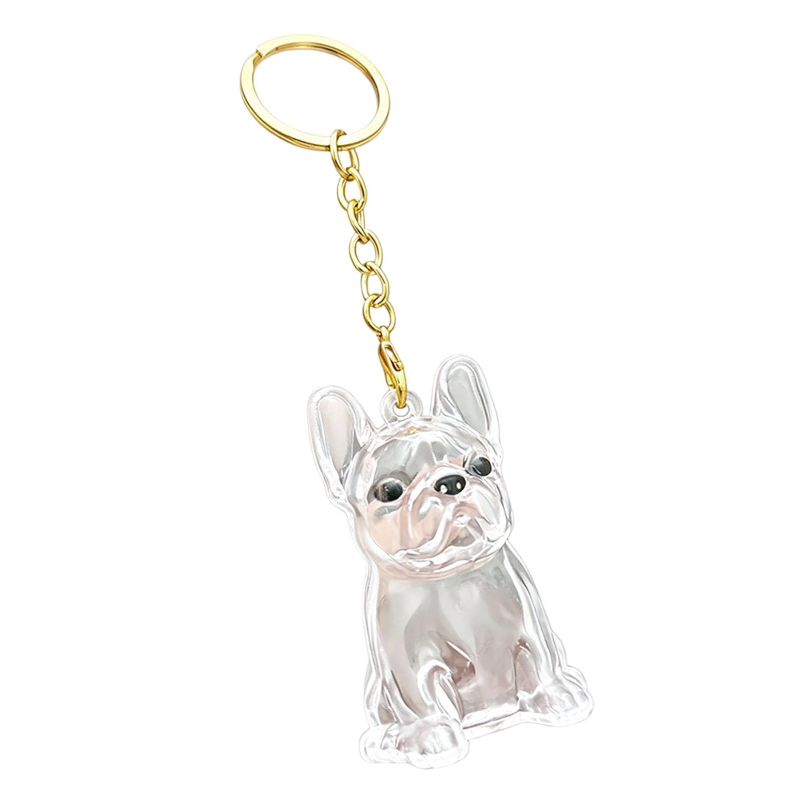 Memorial Dog Keyring, Dog Fur Keepsake, Transparent Cute Dog Hair Keepsakes, Abs Material Pet Hair Keyrings for Pet Owners, Dogs Lovers to Preserve Cherished Memories (B)