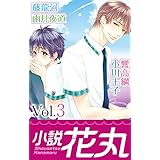 小説花丸 Vol.3