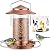 iBorn Bird Feeder Metal Squirrel Chew-Proof Bird Feeders for Outdoors Hanging Outside for Cardinal, Holds 1.5LB Seed with 3 Perchs, Brushed Copper (Seed is not Included)