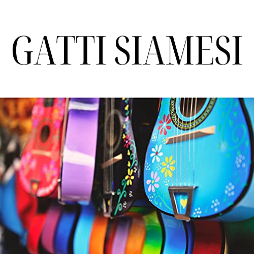  Gatti Siamesi