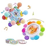 Beißring Baby Spielzeug ab 0 3 6 9 Monate, Greifball Babyspielzeug ab 3 Monate, Sensorik Rassel Saugnapf Spielzeug 0-6 Monate, Babybadewanne Beißspielzeug Geschenk für Jungen Mädchen