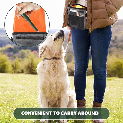 PUERFOCA 2 Stück Zeckenschlinge Set, Zeckenzange für Hunde Katze Idealer Tick Remover für Zecken Jeder Größ, Zeckenlasso für Entfernen Sie Nymphien und Ausgewachsene Zecken