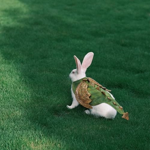 Disfraz Dinosaurio para Mascotas Pequeñas Verde Talla S miniatura 5