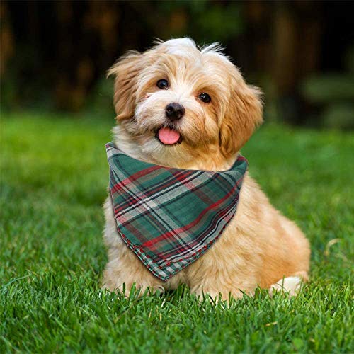 Dadabig 4 Stück Bandana für Hund, Haustier Bandanas Hundehalstuch Kragen Stilvolle Kariertes Hunde-Halstuch Reversibel Dreieck Lätzchen Welpen Halstuch für Niedlichen Hunde und Katze (Baumwolle)