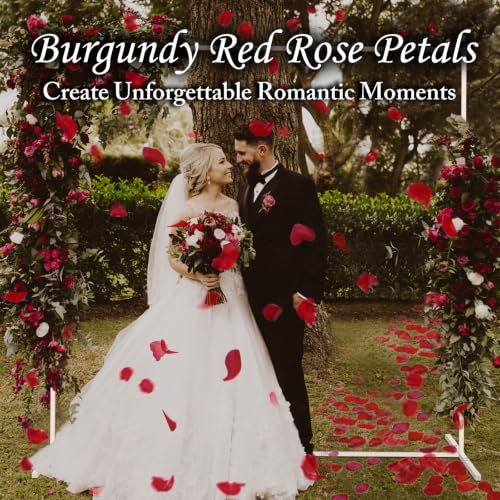 Real Red Rose Petals, Preserved Flower Petals for Romantic Night,180+PCS - image 7