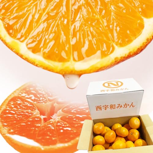 ݂ ݂鋤݂̂ Gi 4kg  20?28 JAFa^ ݂鋤 QY ~J t[c ʕ O