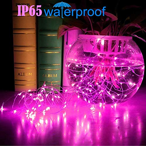 Image of RUICHEN Silver Wire 66 Ft 200 LED USB Fairy String Lights with On /Off Switch (Pink)