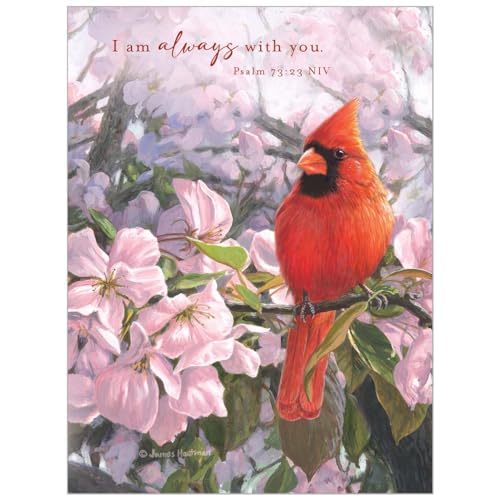 Image of Legacy Publishing Group Notecards-Boxed-Cardinal's Promise (Pack Of 10)