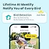 NETVUE by Birdfy Smart Bird Feeder with Camera – AI Identifies Birds Species 2MP Night Vision & App Alerts, 2.4Ghz Wi-Fi Connect IP65 Weatherproof Bird Camera-Gift for Backyard BirdWatchers, Blue #1