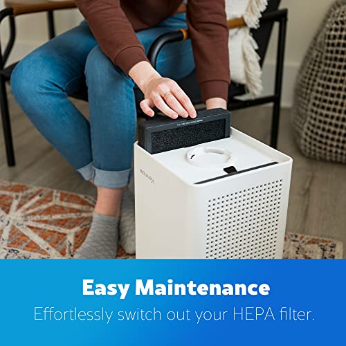 Image of Kenmore KF250 1200e Series Air Purifier Replacement True HEPA Filter