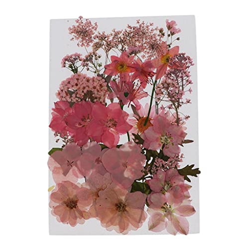 Flores prensadas naturales secas para manualidades miniatura 1