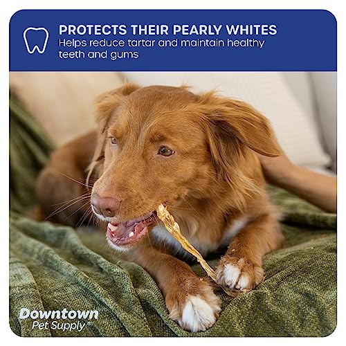 Turkey Tendons for Dogs Made in USA - Rawhide Free Chews - Nutrient-Rich Dog Treats