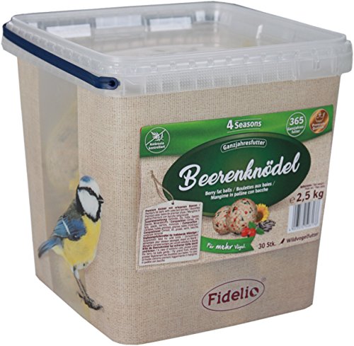 Preisvergleich Produktbild Fidelio Beerenknödel 30 Stück im Eimer, 2.5 kg