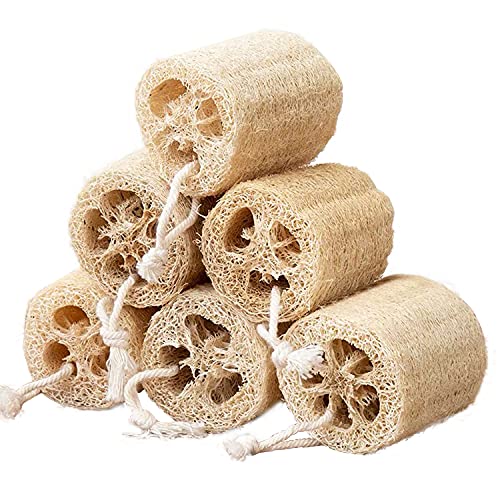 FRTIM Natürlicher Luffa-Schwamm, Dusche, Bio-Luffa-Peeling, Badewanne, Luffa-Körperschrubber für Männer, Frauen, Erwachsene, Rücken, Gesicht, Haut, SPA Pflege - 6 Stück Cover