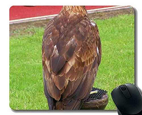 Eagle Rock Gaming Mouse Pad,Birds Mouse Pads
