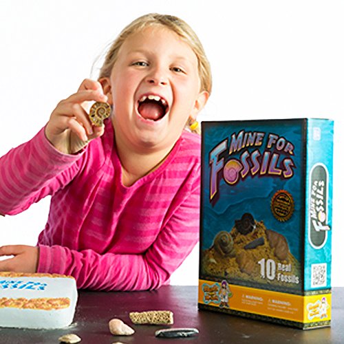 Mine for Real Fossils Science Dig Kit - Excavate 10 Genuine Prehistoric Fossils, Including Dinosaur, Shark Teeth, and More! Great STEM Learning Activity for Kids, for Girls and Boys - Thumbnail 3