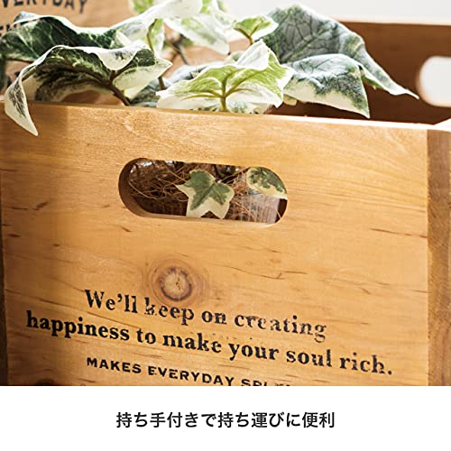 Amazon｜木製 デイリーワークスウッドメッシュボックス-L(2個) DWM-WOL