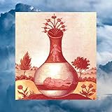 geranium rozanne pflege  Géranium