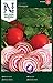 Produktbild Nelson Garden 1933, Rote Beete, Chioggia, Samen (Einzelpackung)