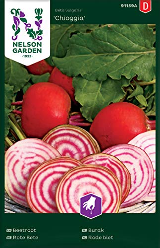 Preisvergleich Produktbild Nelson Garden 1933, Rote Beete, Chioggia, Samen (Einzelpackung)