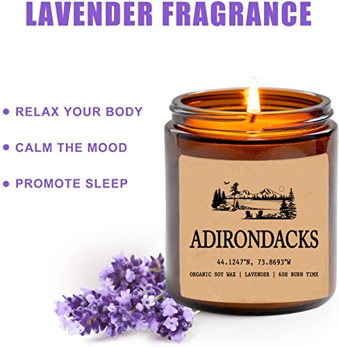 Adirondacks - New York Scented Candle - Organic Soy Wax - Gift for Her - Gift for Him - New Home Gifts - Birthday Gift for Friend - National Park Gifts - State Candles