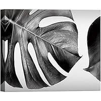 SIGNWIN Canvas Wall Art Tropical Palm Leaves Botanical Plants Photography Realism Modern Closeup Dramatic Black and White for Living Room, Bedroom, Office - 12x18 inches