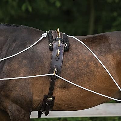 Advanced European Training System | Advanced Training Tool | Enhances Horse Carriage and Headset | Encourages Forward Movement | Strengthens Key Muscles | Not for Beginners