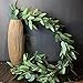 Wofair 5 Feet Eucalyptus Garland Greenery, Artificial Eucalyptus Garland Wedding Decor, Faux Seeded Eucalyptus Garland with Long Oval Leaves, Fake Eucalyptus Vine for Home Office Decoration