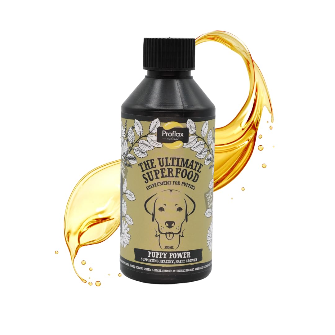 Proflax Puppy Power Puppy Development Support – Growth, Training Focus & Immune Health - 250ml