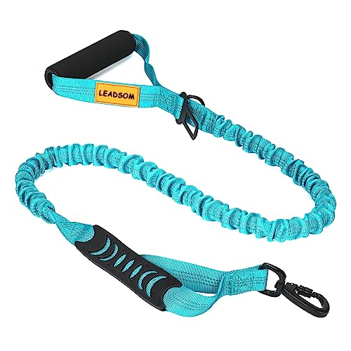 Boost Leash The 15 best products compared Wild Explained