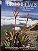 Bromeliads in the Brazilian Wilderness - Elton M. C. Leme