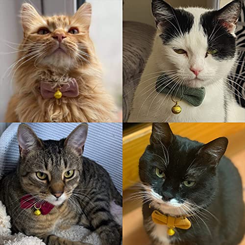 YUDOTE Ultra-soft Collar Natural Cotton Corduroy Made for Cats with Sensitive Skin,Lightweight Kitten Collars with Quick-release Buckle and Removeable Bow-tie,Orange Pack of 1 - Image 4