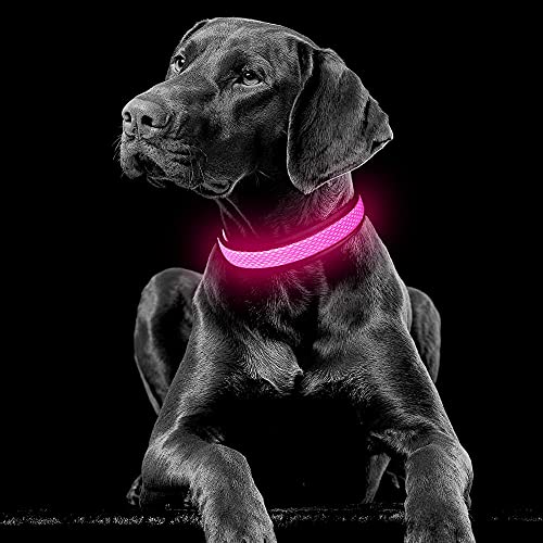 YFbrite Leuchtendes Hundehalsband, wiederaufladbares LED-Hundehalsband, verstellbares reflektierendes Hundehalsbands, Sicherheit leuchtet bei Nacht (Rosa, L)