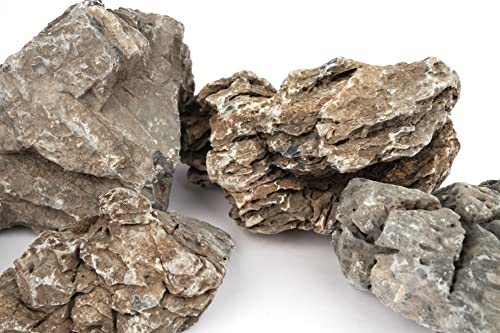 Image of LANDEN Seiryu Stones Natural Rocks for Aquarium, Paludarium, Terrariums, Landscaping Rocks, Aquascaping, 80L (36lbs) 3-11in, Seiryu Stones(3-11inch,36lbs)