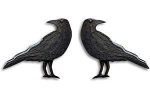 Black Raven earrings for women