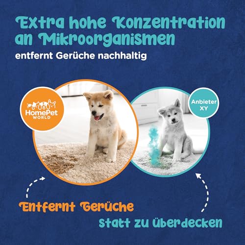 HomePetWorld Enzymreiniger Katzenurin 500ml - Enzymreiniger Geruchsentferner für Haustiere (Hund & Katze) - Effektiver Reiniger als Katzenurin Entferner auch als Katzenklo Reiniger nutzbar