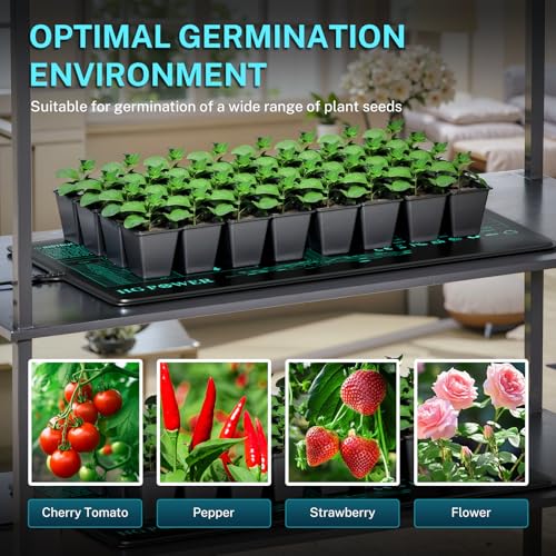 HG Power Heizmatte mit Thermostat - 2 Heizmatten mit 1 Controller, Heizmatte Pflanzen Wärmematte für Zimmergewächshaus, Gewächshaus Heizmatte mit Temperaturregler,2er-Pack 53 cm x 25 cm, 110Watt