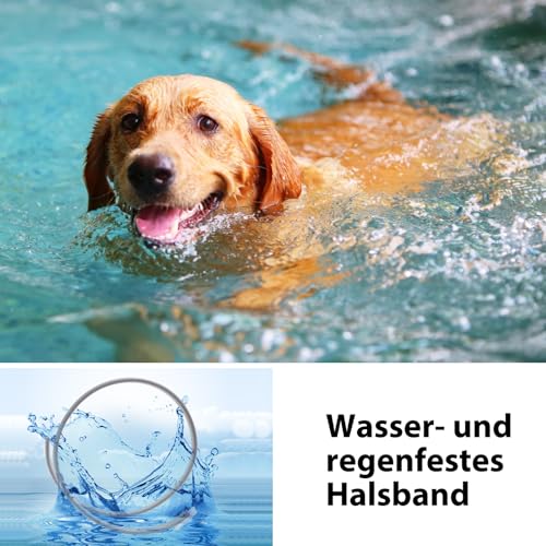 DEWEL 63.5cm Leuchtendes Zeckenhalsband für Hunde, Zeckenhalsband Leuchthalsband Hund Verstellbar Floh-und Zecken Prävention Halsbänder Wasserdicht Fluoreszierendes Flohhalsband gegen Ungeziefer
