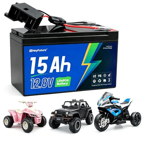 HeyFuture 12V 15Ah LiFePO4 Battery for...