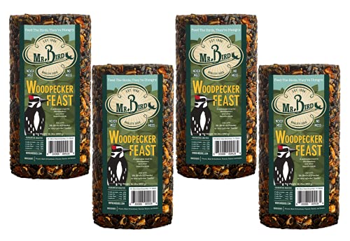 4-Pack Mr. Bird Woodpecker Feast Small Cylinder | Wild Bird Food for Outdoor Birds | Backyard Birdfeeding
