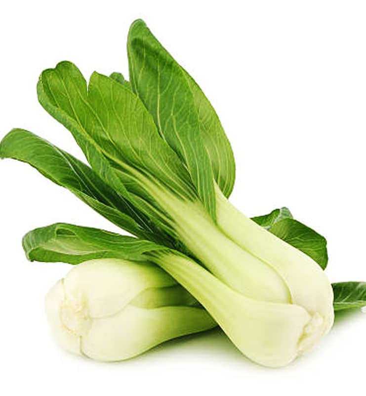 PLANTOGALLERY Vegetable Seeds | Pak choi F1 Hybrid Seeds For Home Gardening (80 seeds pack) (B09BG1FX2V) Amazon Price History, Amazon Price Tracker