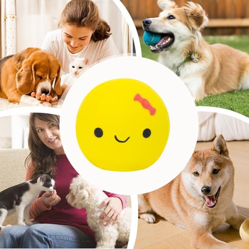 Eierbälle für Hunde, Spielzeug für Welpeneier | Quietschendes süßes Ei in Puppenform für Haustiere, Kauei aus Latex und Gummi - Vierfarbiger Hundeball mit quietschendem Ei für kleine und mittelgroße H