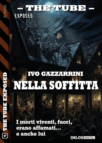  Nella soffitta